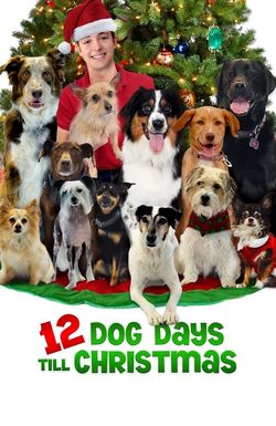 12 Dog Days of Christmas