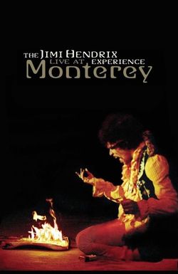 The Jimi Hendrix Experience: Live at Monterey