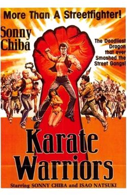 Karate Warriors