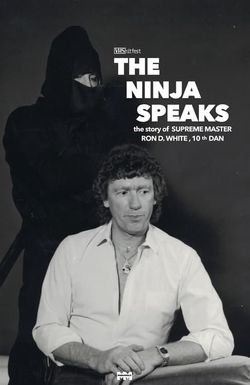 Justice Ninja Style: The Ninja Speaks