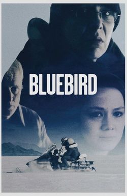 Bluebird