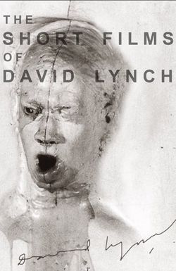 The Short Films of David Lynch