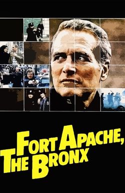 Fort Apache the Bronx