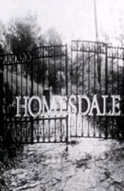 Homesdale