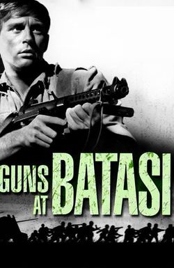 Guns at Batasi