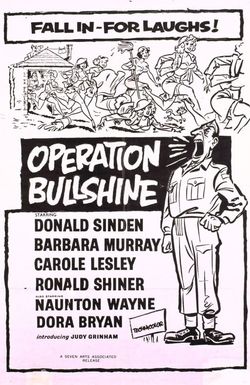 Operation Bullshine