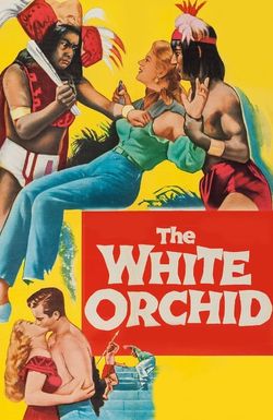 The White Orchid