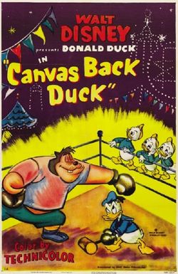 Canvas Back Duck