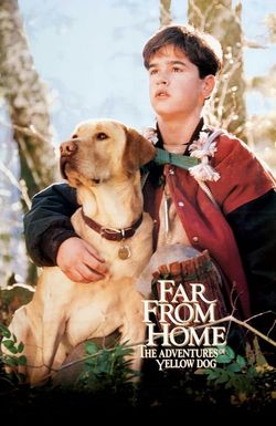 Far from Home: The Adventures of Yellow Dog