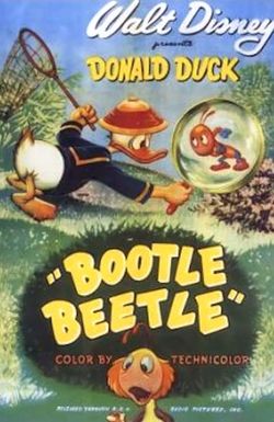 Bootle Beetle