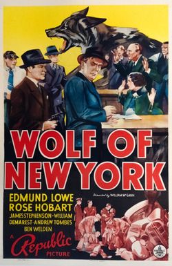 Wolf of New York