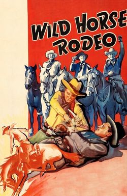 Wild Horse Rodeo