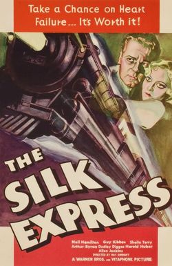 The Silk Express