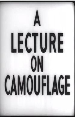 A Lecture on Camouflage