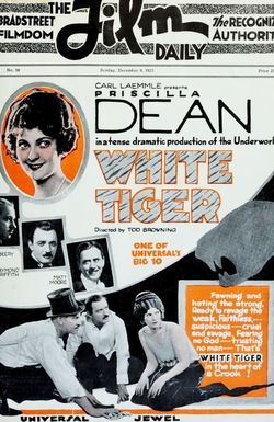 White Tiger