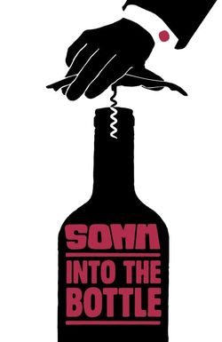 SOMM: Into the Bottle