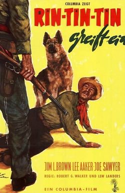 The Challenge of Rin Tin Tin