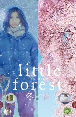 Little Forest: Winter/Spring