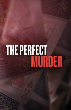 The Perfect Murder