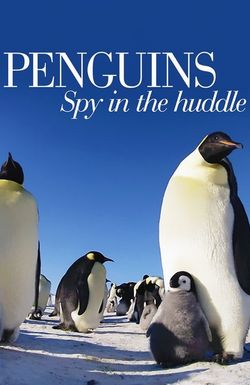 Penguins: Spy in the Huddle