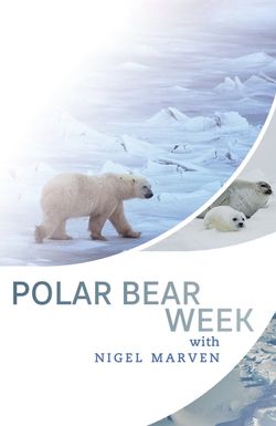 Polar Bear Week with Nigel Marven