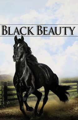 Black Beauty