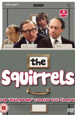 The Squirrels