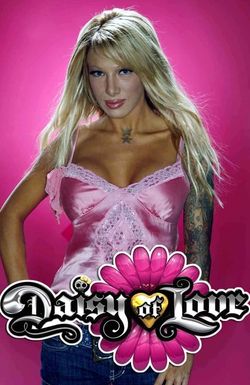 Daisy of Love