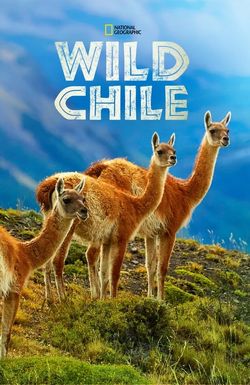 Wild Chile