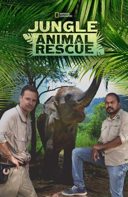 Jungle Animal Rescue