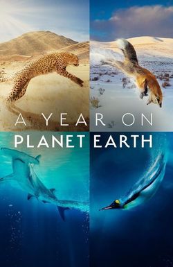 A Year on Planet Earth