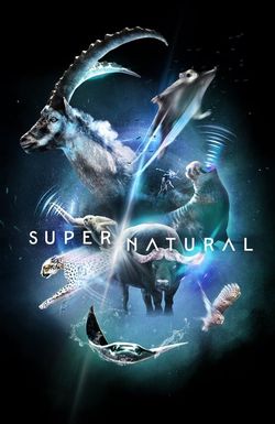 Super/Natural