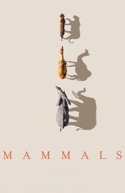 Mammals