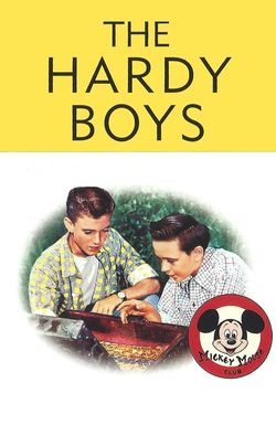 The Hardy Boys: The Mystery of the Applegate Treasure