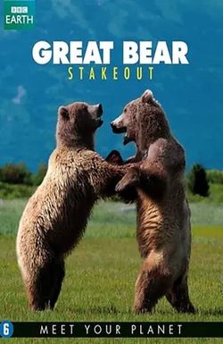 Great Bear Stakeout