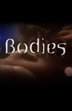 Bodies