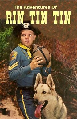 The Adventures of Rin Tin Tin