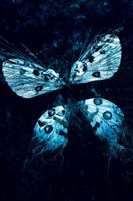 The Butterfly Effect 3: Revelations