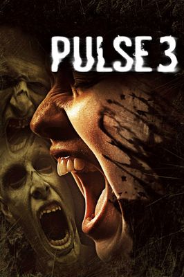 Pulse 3