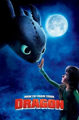 How to Train Your Dragon