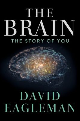 The Brain with Dr. David Eagleman