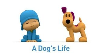 Episode 39 Pocoyo's Little Friend