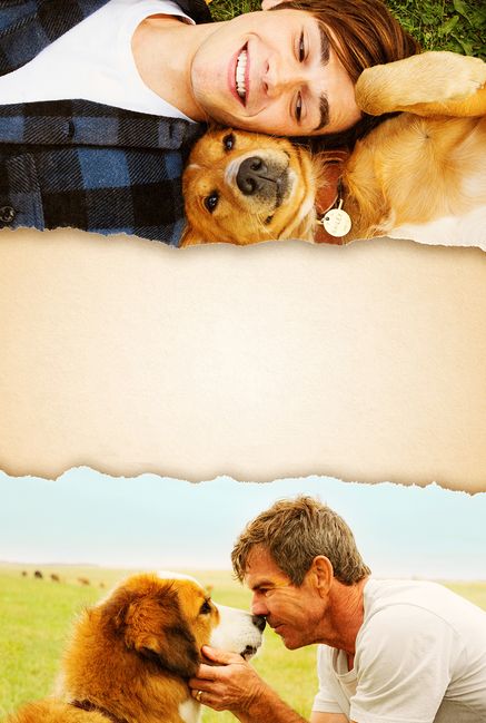 A Dog's Purpose