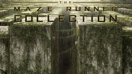 The Maze Runner