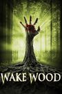 Wake Wood