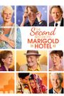 The Second Best Exotic Marigold Hotel