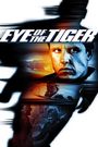 Eye of the Tiger