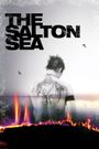 The Salton Sea