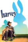 Harvey