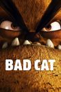 Bad Cat